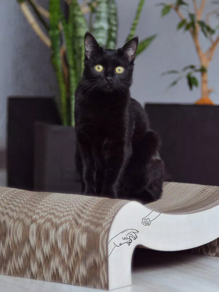 Когтеточка Grifeldecor Kotobaza Скоба