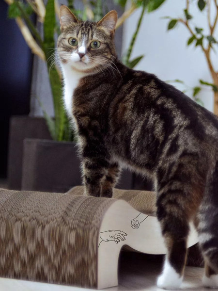 Когтеточка Grifeldecor Kotobaza Скоба