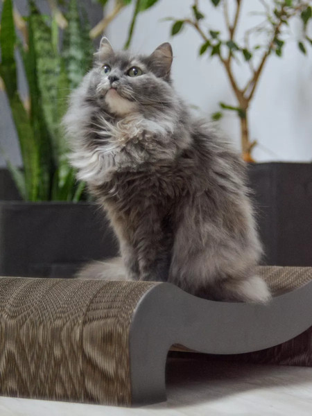 Когтеточка Grifeldecor Kotobaza Скоба