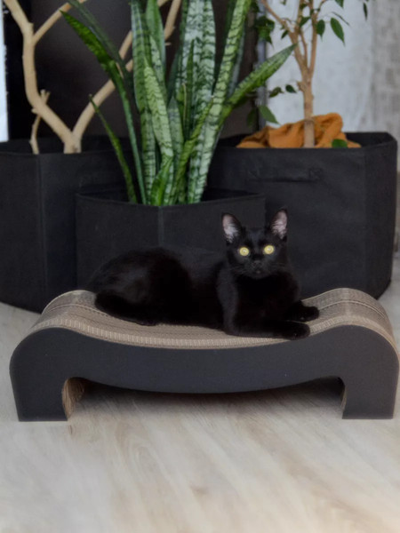 Когтеточка Grifeldecor Kotobaza Скоба