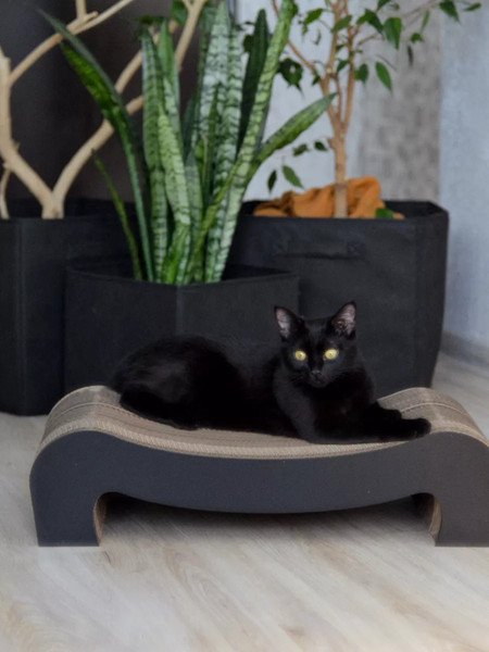 Когтеточка Grifeldecor Kotobaza Скоба