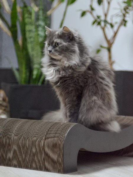 Когтеточка Grifeldecor Kotobaza Скоба