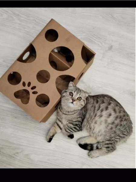 Игрушка для кошек Grifeldecor Kotobaza Лабиринт