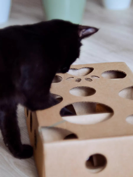 Игрушка для кошек Grifeldecor Kotobaza Лабиринт