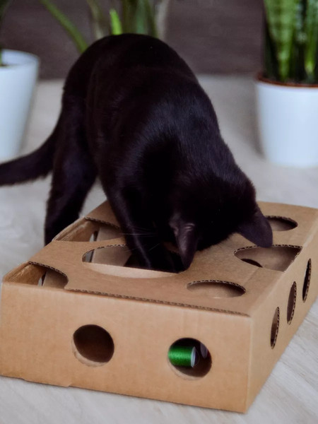 Игрушка для кошек Grifeldecor Kotobaza Лабиринт