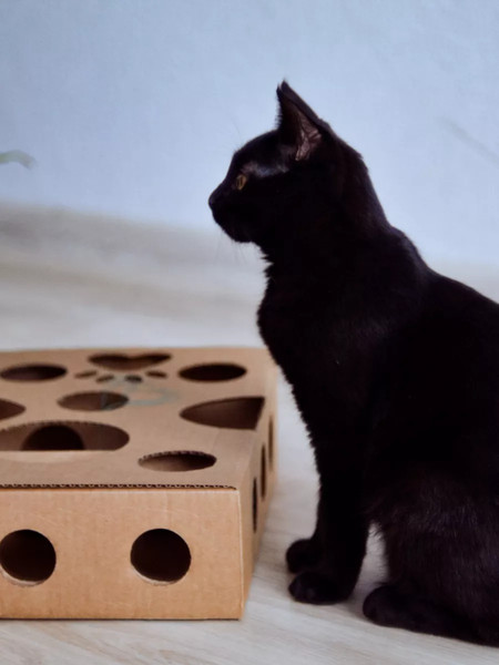 Игрушка для кошек Grifeldecor Kotobaza Лабиринт