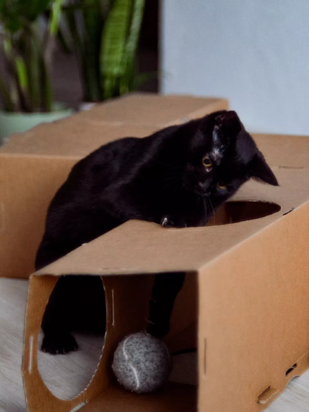 Игрушка для кошек Grifeldecor Kotobaza Тоннель