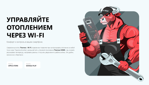 Газовый котел Thermex Antares F24