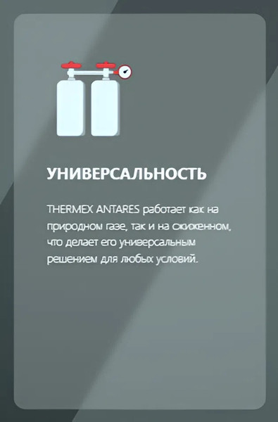 Газовый котел Thermex Antares F24