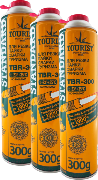 Газовый баллон туристический Tourist Standard TBR-300 - фото