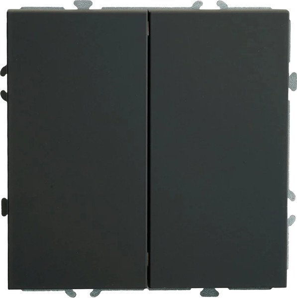 Выключатель Stekker Эмили RSW10-5107-05ZK / 50249 - фото