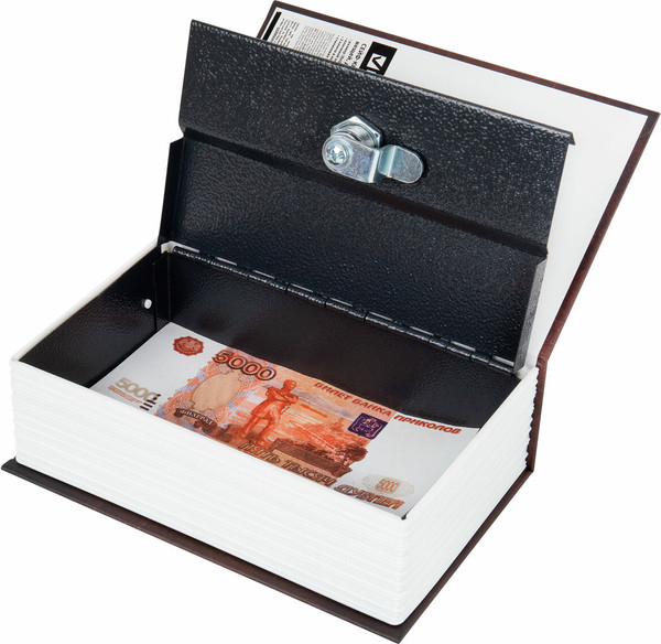 Книга-сейф Brauberg История государства Российского / 291359