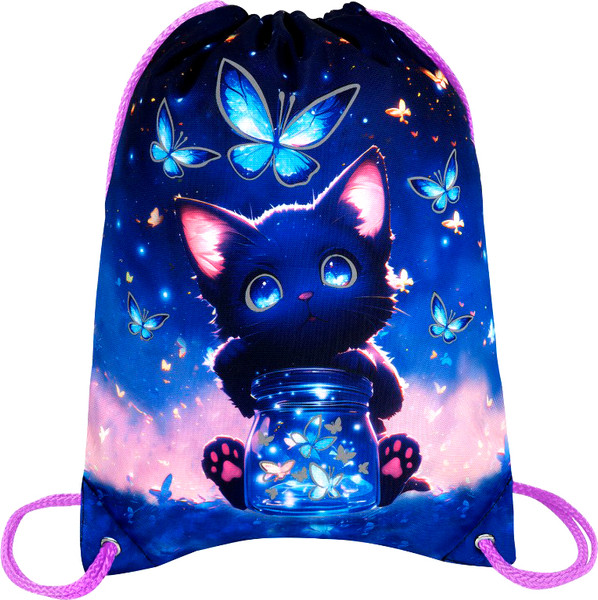 Мешок для обуви Brauberg Premium. Night Catcher / 273442 - фото