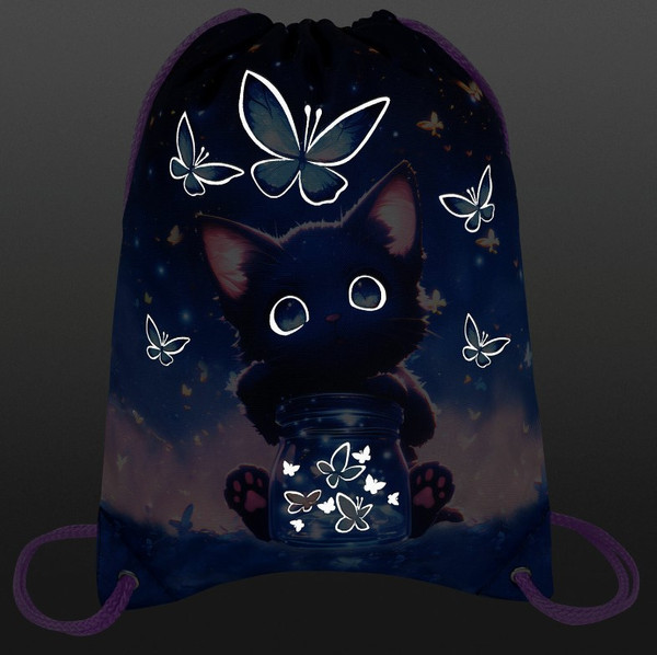 Мешок для обуви Brauberg Premium. Night Catcher / 273442