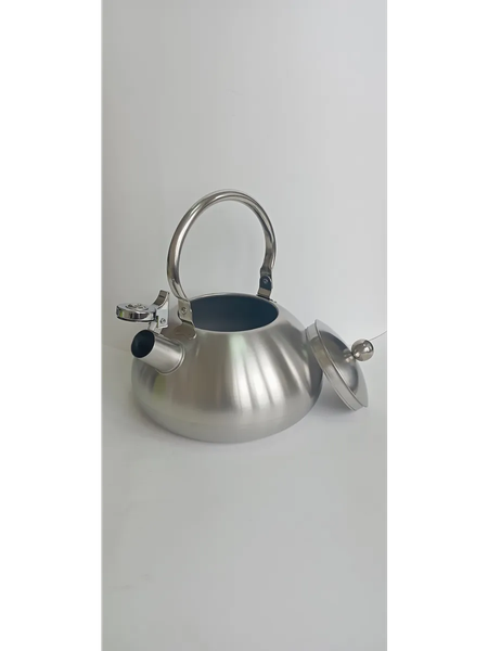 Чайник со свистком Astiat AST1007