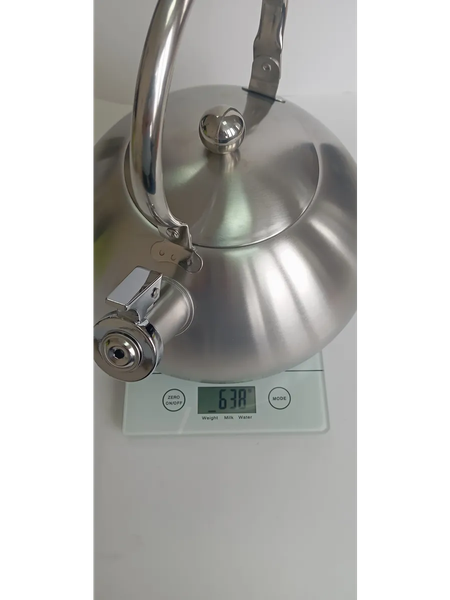 Чайник со свистком Astiat AST1007