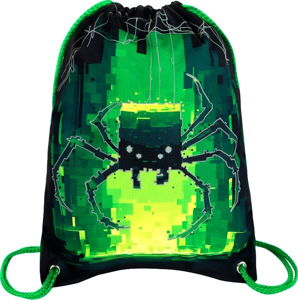 Мешок для обуви Brauberg Premium. Digital Spider / 273444 - фото