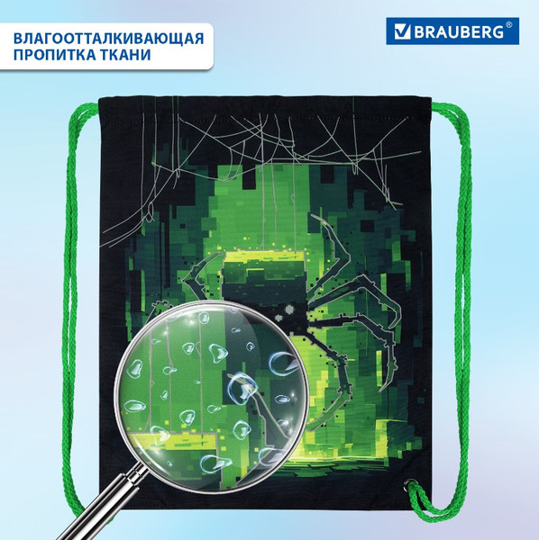 Мешок для обуви Brauberg Premium. Digital Spider / 273444