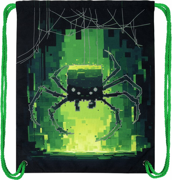 Мешок для обуви Brauberg Premium. Digital Spider / 273444