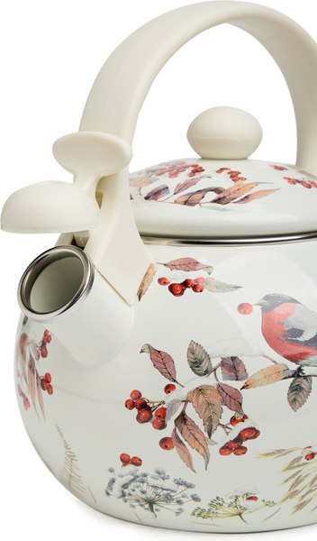 Чайник со свистком Agness 934-749