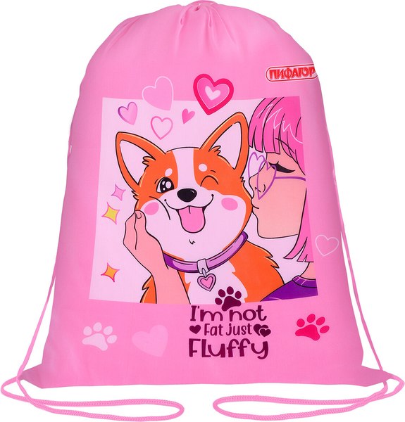 Мешок для обуви Пифагор Fluffy Akita / 272385 - фото