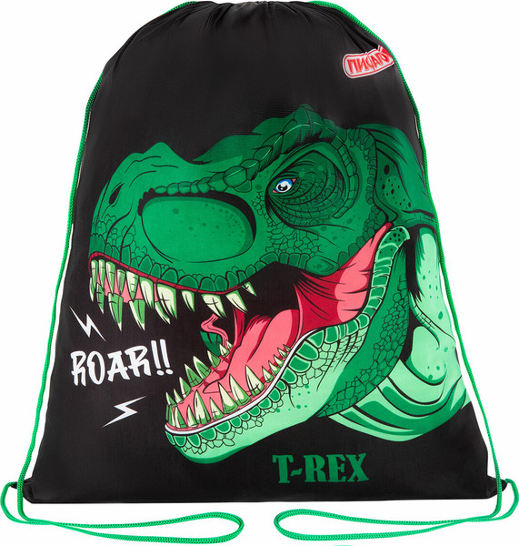 Мешок для обуви Пифагор Dino Roar / 272387 - фото
