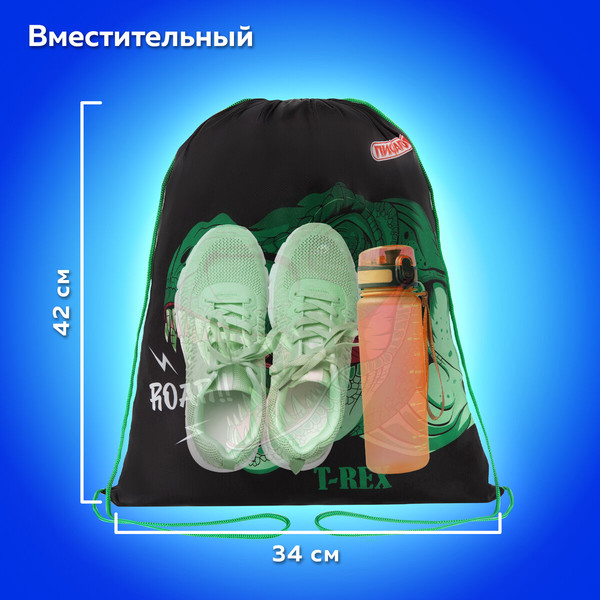 Мешок для обуви Пифагор Dino Roar / 272387