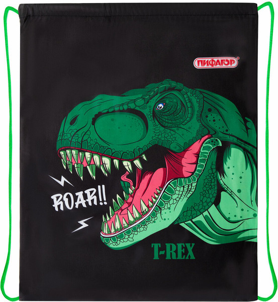 Мешок для обуви Пифагор Dino Roar / 272387
