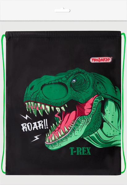 Мешок для обуви Пифагор Dino Roar / 272387