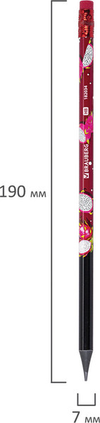 Набор простых карандашей Brauberg Juicy Fruit / 182034