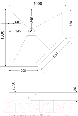 Душевой поддон RGW 16155100-02