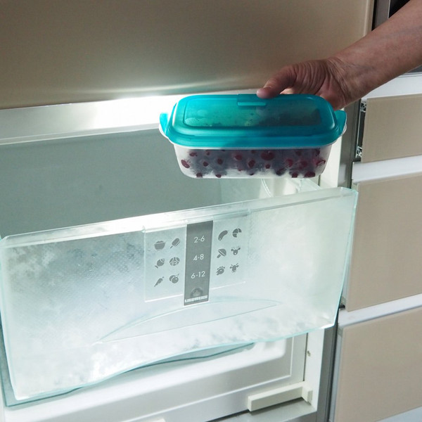 Контейнер Мультидом Push / 490 935