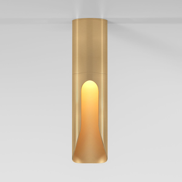 Потолочный светильник Elektrostandard 25113/LED 7W 3000K