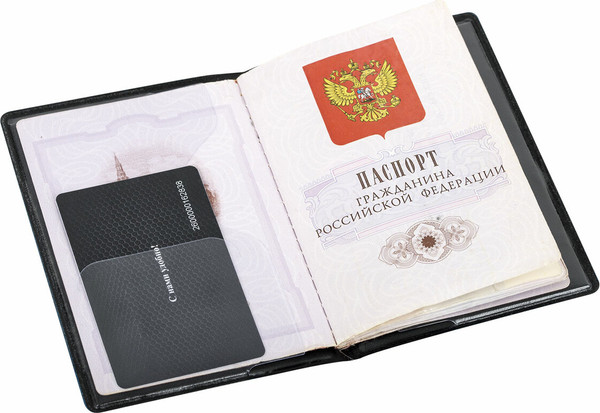 Обложка на паспорт Staff 238403