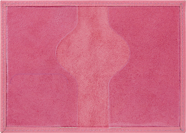 Обложка на паспорт Brauberg Девушка / 238868