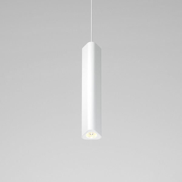 Потолочный светильник Elektrostandard 50310 LED 12W 4000K