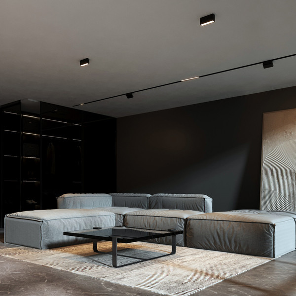 Потолочный светильник Elektrostandard 25109/LED 10W 3000K