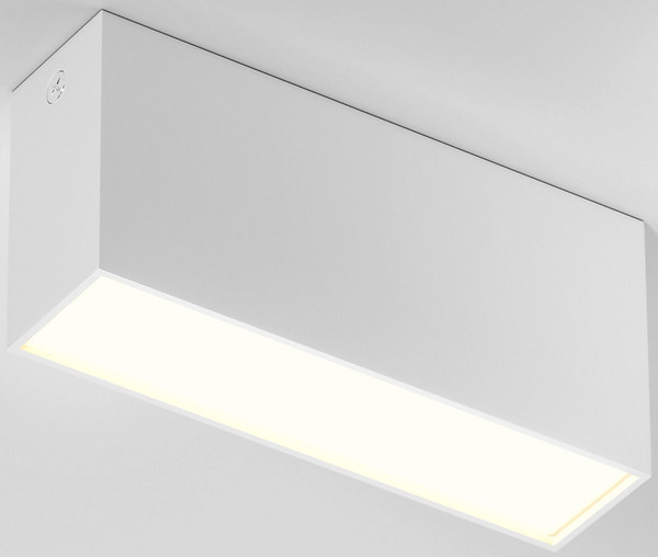 Потолочный светильник Elektrostandard 25109/LED 10W 4000K - фото