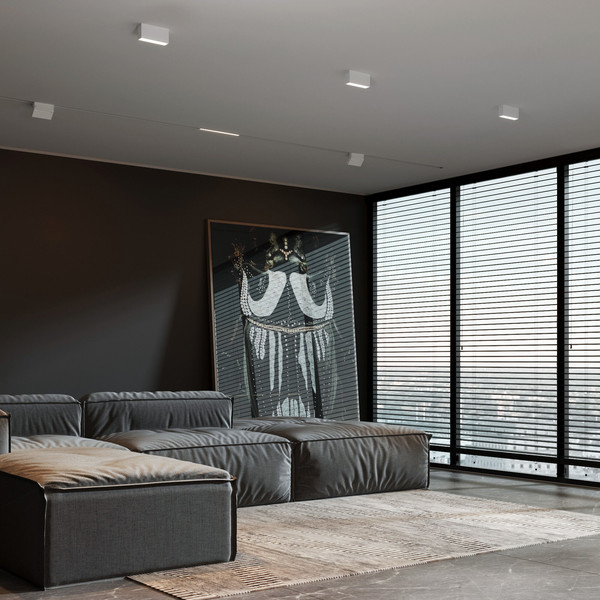 Потолочный светильник Elektrostandard 25109/LED 10W 4000K