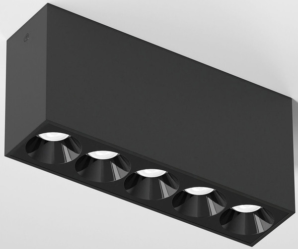 Потолочный светильник Elektrostandard 25108/LED 10W 4000K - фото