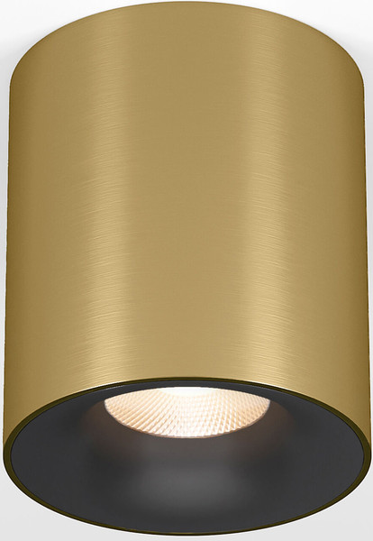 Потолочный светильник Elektrostandard 25116/LED 12W 3000K - фото