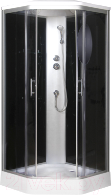 Душевая кабина Niagara NG-2506-01 90x90x215 - фото