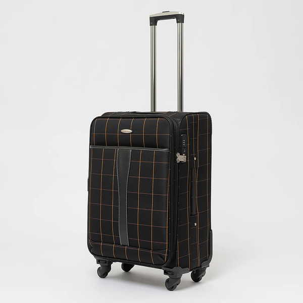 Чемодан на колесах Francesco Molinary 219-1094FM-5-23BLK