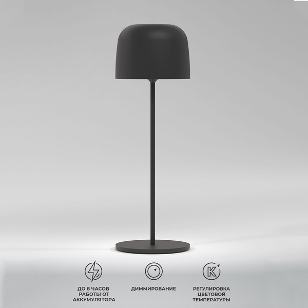 Светильник уличный Elektrostandard Bitty TL70260