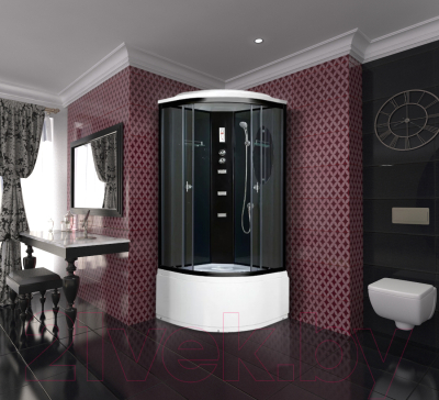 Душевая кабина Niagara NG-212-01N 100x100x215