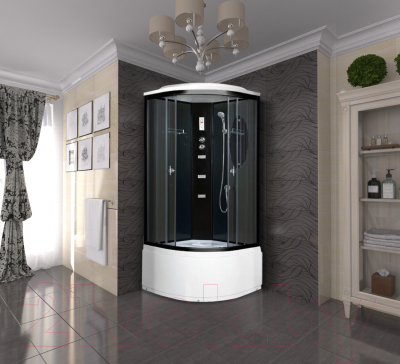 Душевая кабина Niagara NG-212-01N 100x100x215