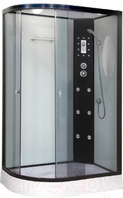 Душевая кабина Niagara NG-1903-01R 120x80x215 (тонированное стекло/черный) - фото