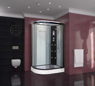 Душевая кабина Niagara NG-1903-01R 120x80x215 (тонированное стекло/черный)