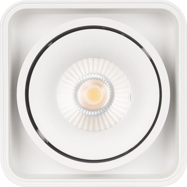 Точечный светильник Arlight SP-CUBUS-S100x100-8W Day4000 WH / 036048