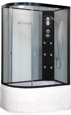 Душевая кабина Niagara NG-1910-01R 120x80x215 - фото